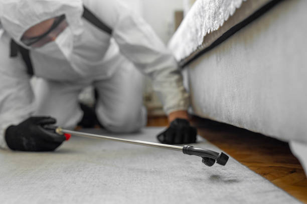 Professional Termite Control technician working in Kechi, KS