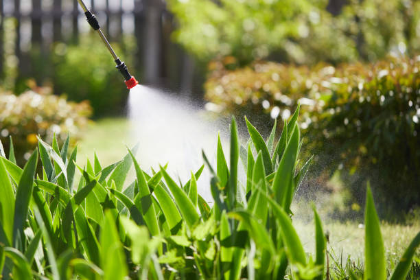 24/7 Emergency Termite Control experts in Kechi, KS